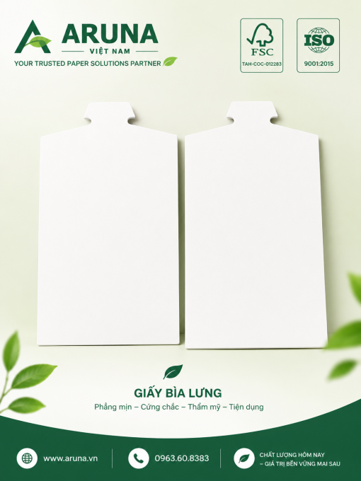 Giấy Duplex
